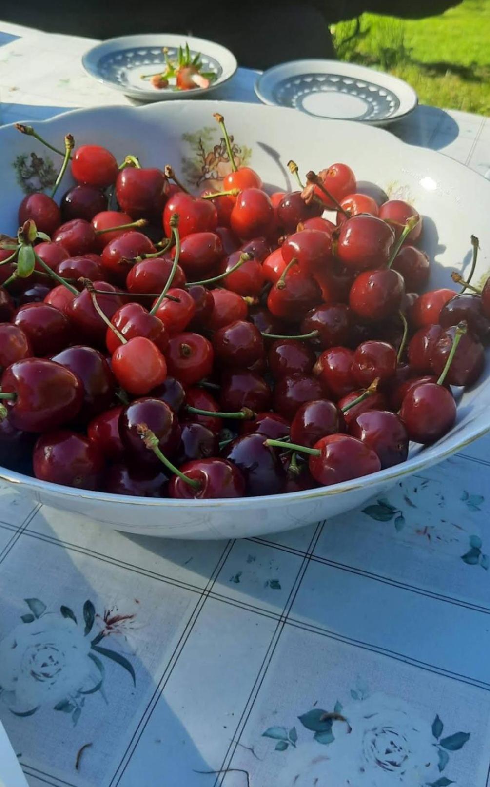 Mala Farma Nani Villa Високо Екстериор снимка