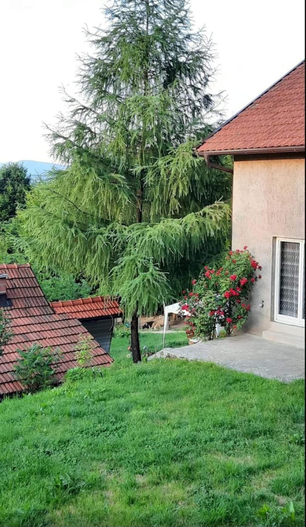 Mala Farma Nani Villa Високо Екстериор снимка